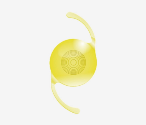 ビビネックス ジェメトリック(Vivinex Gemetric)
